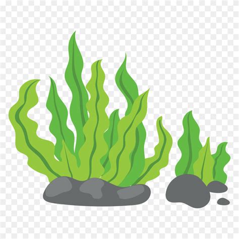 seagrass clipart